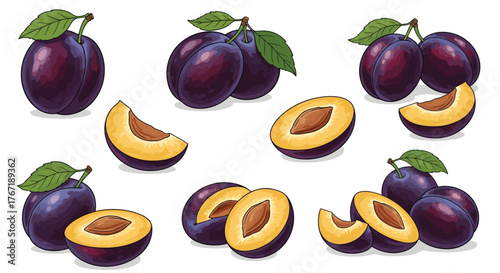An illustration of various ripe plums, whole, sliced, and with leaves, against a white background.
