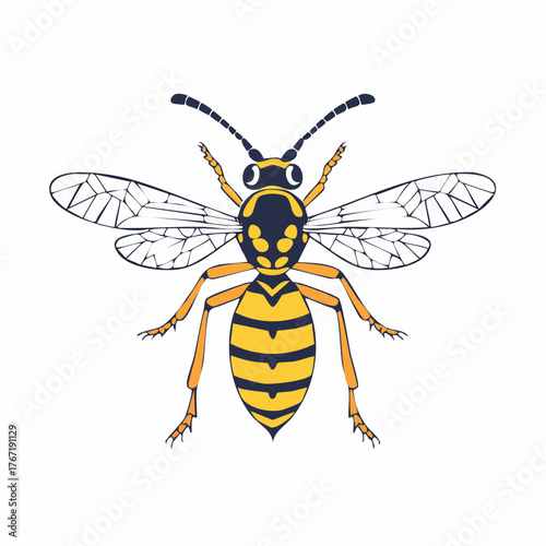 Detailed illustration of a yellow and black wasp insect.