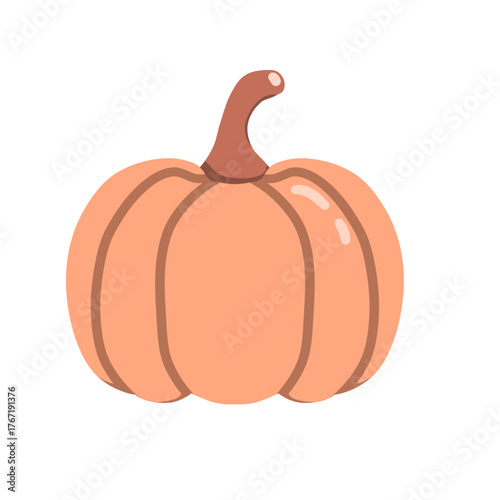 Autumn glow the charming pumpkin illustration