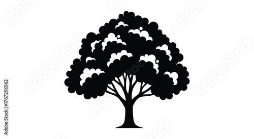 Silhouette of a mature deciduous tree with a full canopy of leaves against a white background