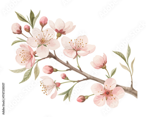 Delicate Watercolor Flower Buds and Branches Set isolated on white background