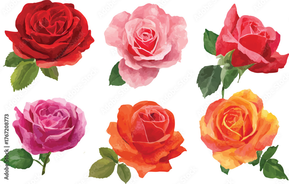 Fototapeta premium watercolor roses, pink roses, red roses, orange roses, floral, bouquet