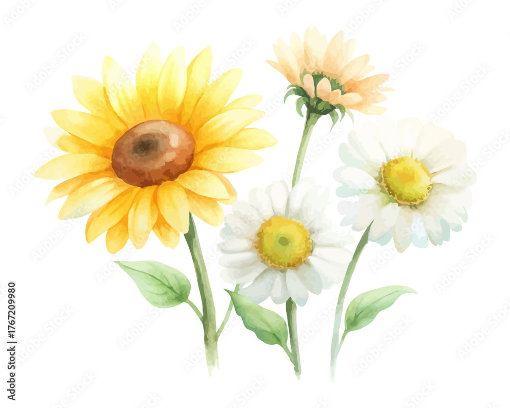 Fototapeta premium Bright Watercolor Sunflower and Daisy Illustration isolated on white background