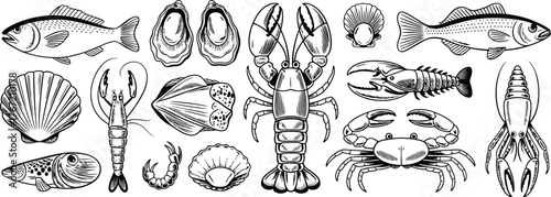 Seafood collection with fish crustaceans and shells