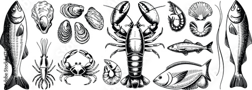 Seafood collection illustration fish lobster