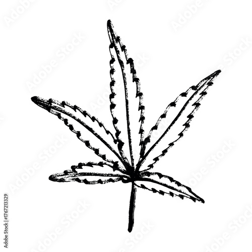 Hand drawn cannabis leaf Medicine marijuana Hemp leaves clipart in doodle style Single element for print, web, design, decor