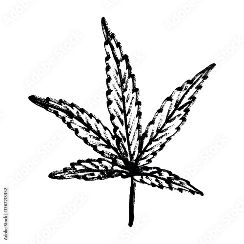 Hand drawn cannabis leaf Medicine marijuana Hemp leaves clipart in doodle style Single element for print, web, design, decor