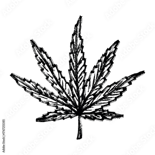 Hand drawn cannabis leaf Medicine marijuana Hemp leaves clipart in doodle style Single element for print, web, design, decor