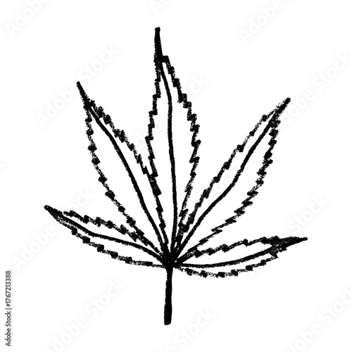 Hand drawn cannabis leaf Medicine marijuana Hemp leaves clipart in doodle style Single element for print, web, design, decor