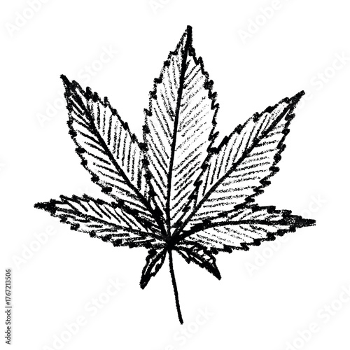 Hand drawn cannabis leaf Medicine marijuana Hemp leaves clipart in doodle style Single element for print, web, design, decor