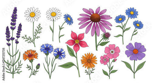Vibrant Wildflower Bouquet Illustration for Spring Garden Decor Website Design Projects