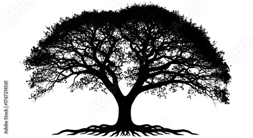 Majestic Silhouette Oak Tree Roots Spreading Strong Foundation Growth Heritage Symbol For Design