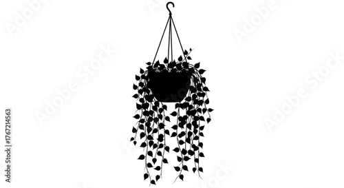 Silhouetted Hanging Potted Plant Trailing Vines for Home Decor Web Design Garden Graphics
