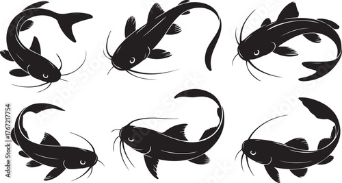 catfish silhouette design with white background