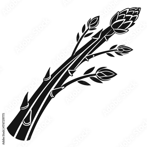 Stylized black and white illustration of asparagus stalks