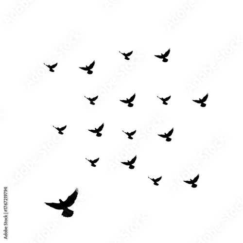 Birds flying in formation against a white background.