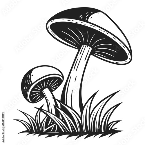 Stylized black and white mushrooms growing in grass