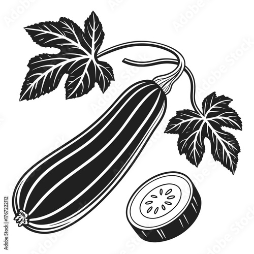 Stylized zucchini with leaves and slice on black background