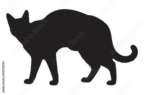 Black cat silhouette arched back vector illustration for Halloween or pet-related designs