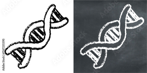Chalk hand-drawn DNA helix vector. Ideal for genetics, science, and biology themes. This graphic symbolizes heredity and molecular structure with a unique, sketchy aesthetic.