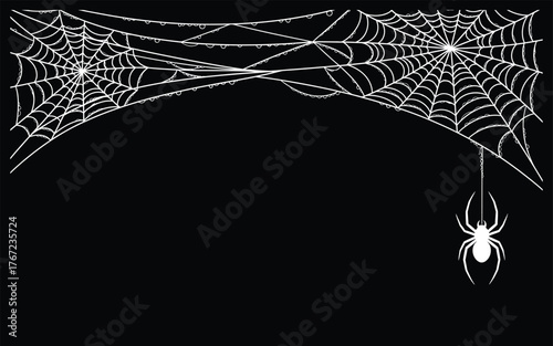 Black spider and torn web. Scary spiderweb of halloween symbol