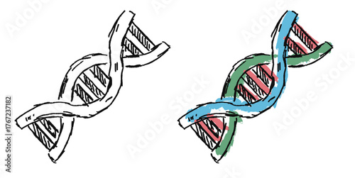 Grunge sketch hand-drawn DNA helix vector. Ideal for genetics, science, and biology themes. This graphic symbolizes heredity and molecular structure with a distressed, gritty aesthetic.
