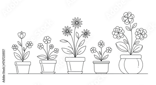 Black and white line drawing of five different potted flowers on a shelf.