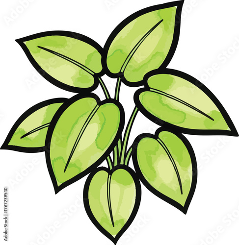 Vibrant Green Plant with Large Heart Shaped Leaves.