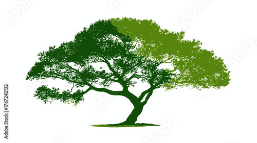 Vibrant green tree silhouette with a broad, spreading canopy, isolated on a clean white background. Nature, ecology, and environmental concept.
