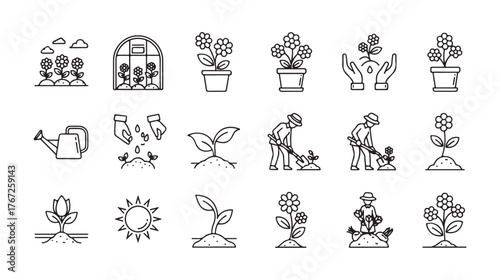 Linear pictograms depicting flowers growing in a greenhouse and pots, along with concepts of planting, cultivating, and harvesting.