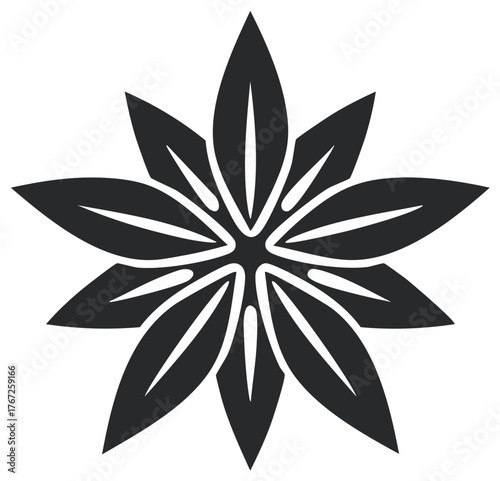 Stylized Star Anise Spice Seed Silhouette Abstract Floral Shape