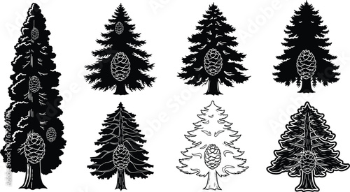 Black pine tree silhouette with pine cones, evergreen forest illustration, Christmas tree design, nature woodland vector art, winter holiday background, conifer plant drawing,