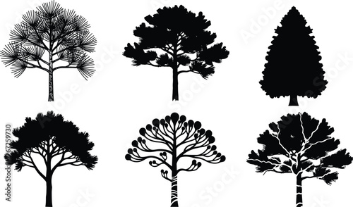 Black tree silhouette collection, isolated pine and deciduous tree vector, natural forest design, botanical landscape art, nature illustration, environment graphic