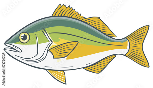 Stylized Yellowtail Fish Illustration Depicting Colorful Aquatic Wildlife Species