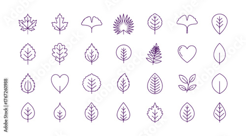 Set of leaf icons in thin lines. A collection of outline symbols. Vector that can be edited.