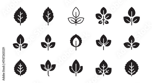Set of different leaf icons isolated on white background vector illustration