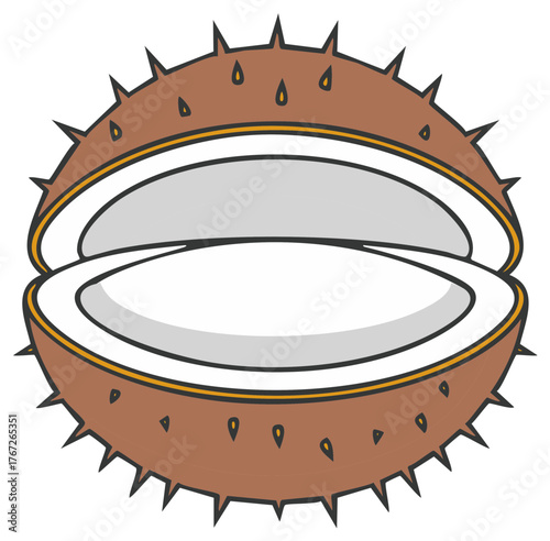 Vector Illustration of an Open Spiky Chestnut Shell