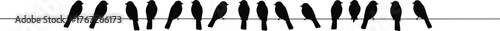 Birds on wire silhouette vector, perched birds illustration, black and white minimal design, urban wildlife scene, peaceful nature composition