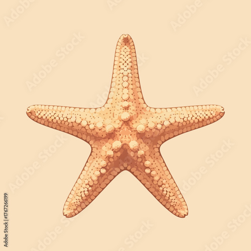 A detailed, top-down illustration of a five-armed starfish on a solid beige background.