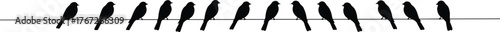 Birds on wire silhouette vector, perched birds facing left, black and white minimal design, nature symmetry concept, peaceful wildlife illustration
