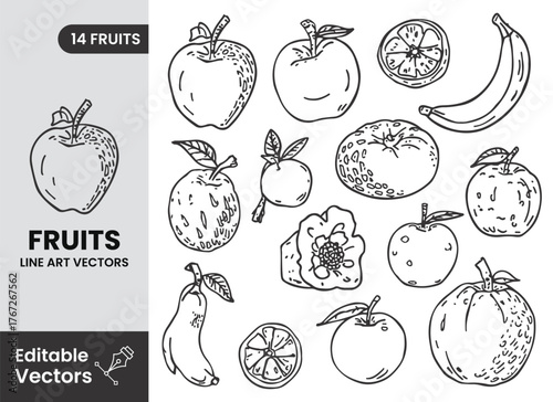 A charming collection of hand drawn line art fruits and botanical vector