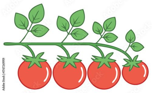 Ripe Red Tomatoes Growing on a Green Branch with Leaves