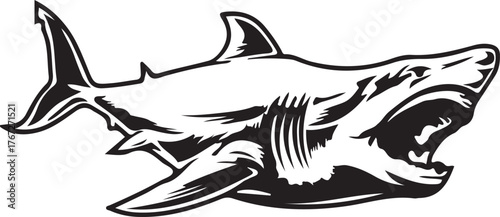 Illustration of a great white shark with open mouth