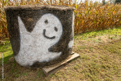 Prince Frederick, Maryland USA A corn maze in a corn field during Halloween and ghost painted on a haybale