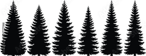 Conifer tree silhouette collection, pine and fir forest shapes, black evergreen clipart, botanical vector elements for nature design, isolated illustration set