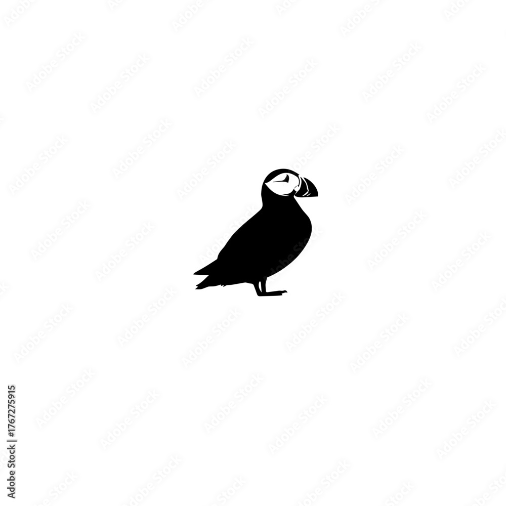 Obraz premium Puffin Bird Illustration