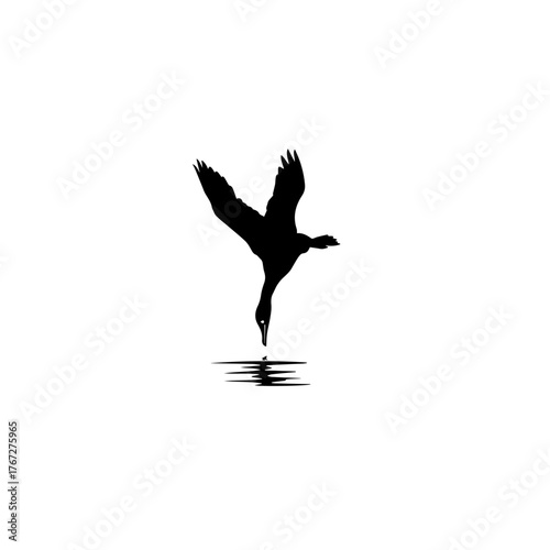 Diving Bird Silhouette