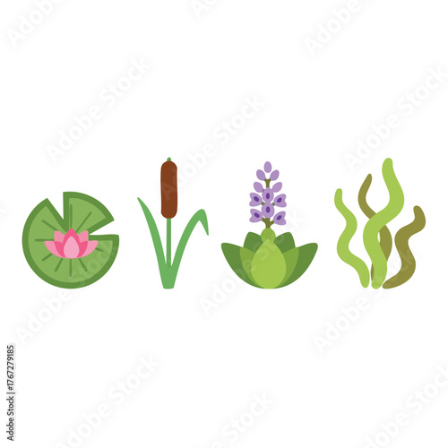 Collection of diverse aquatic plants vector illustration flat design water lily cattail hyacinth seaweed pond flora botanical nature wetland minimal cartoon