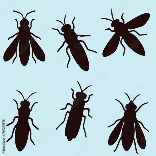 Black Soldier pest silhouette style pro vector on white background