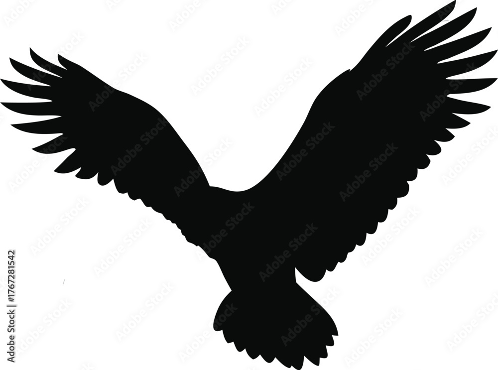 Obraz premium Landing Eagle Silhouette – Powerful Bird of Prey Vector Illustration